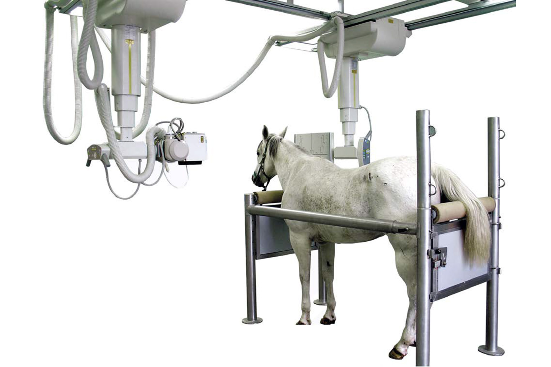 ZooMax Equine