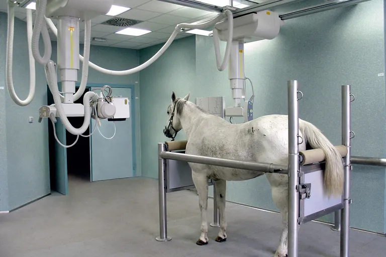 ZooMax Equine - ZooMax-Equine-Roentgenanlage-Grosstiere-Tierspital.jpg