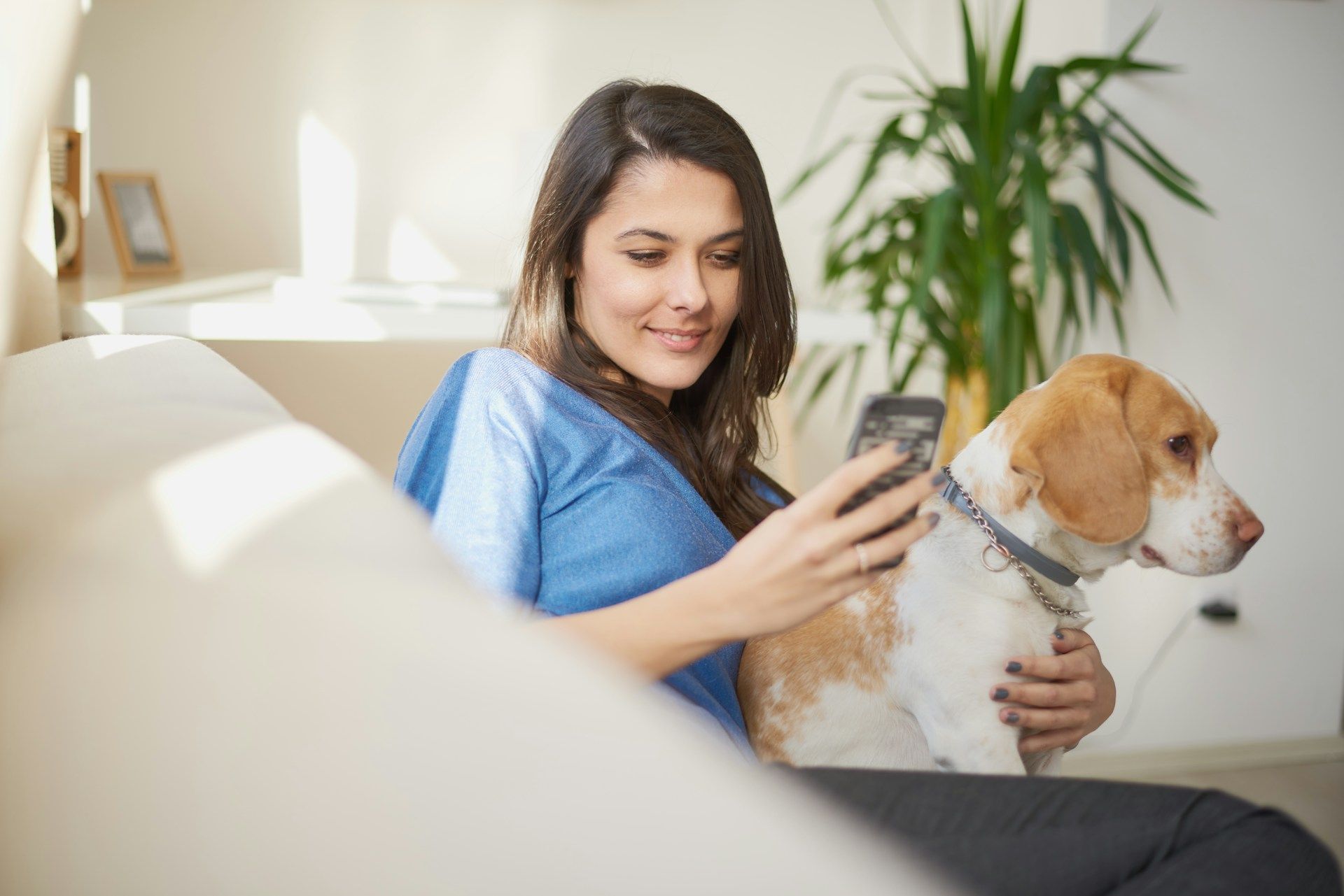 Veterinär-Bildportal